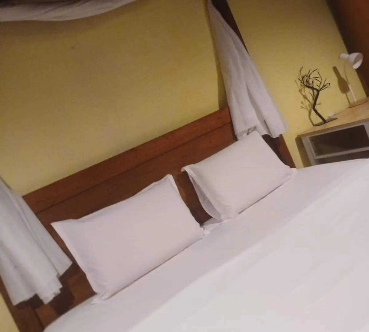 Hotel Lang Hoose George Town